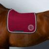 SUADOURO HARCOUR DRESSAGE KAREMBAR - Image 17