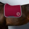 SUADOURO HARCOUR DRESSAGE KAREMBAR - Image 18