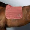 SUADOURO HARCOUR DRESSAGE KAREMBAR - Image 28