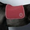SUADOURO HARCOUR DRESSAGE KAREMBAR - Image 42