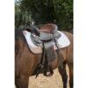 SELA WESTERN WESTRIDE "TOPEKA" CASTANHA 16" - Image 6