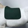 SUADOURO HARCOUR SAPHIR DRESSAGE - Image 14