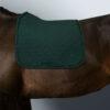 SUADOURO HARCOUR SAPHIR DRESSAGE - Image 15