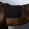 SUADOURO HARCOUR SAPHIR DRESSAGE - Image 10