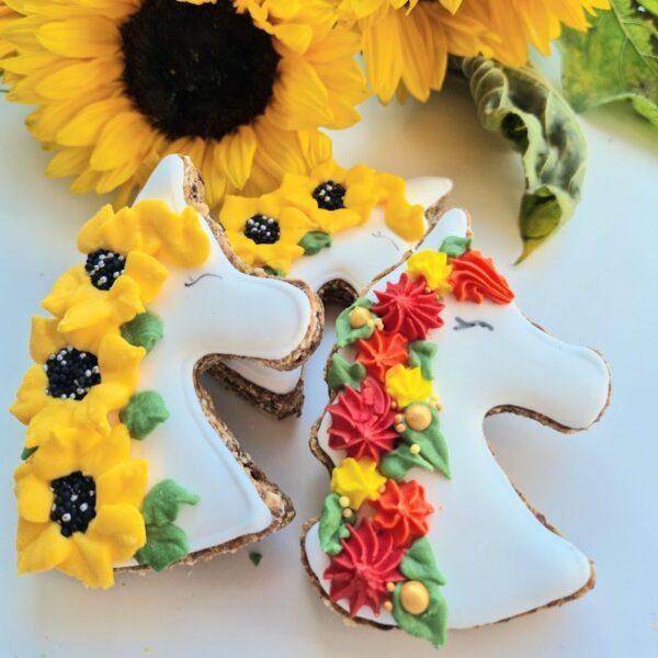 PONY BUENO PONY PORTRAIT TREATS