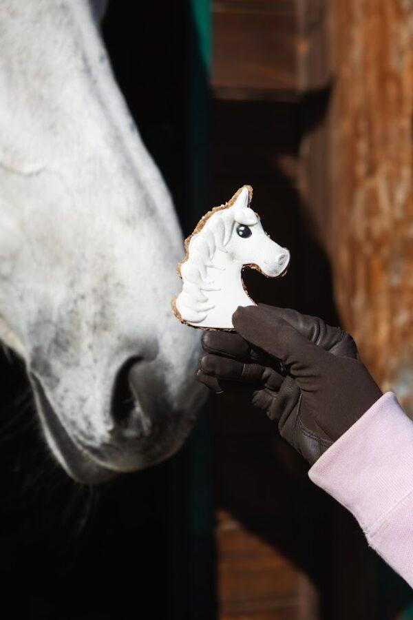 PONY BUENO UNICÓRNIO TREATS - Image 2