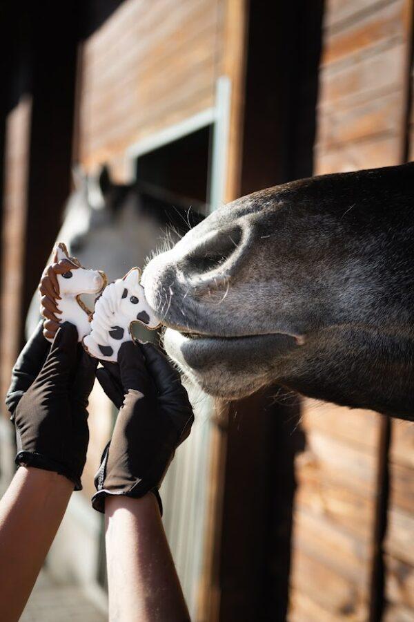 PONY BUENO UNICÓRNIO TREATS - Image 3