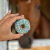 PONY BUENO DONUT TREATS - Image 3
