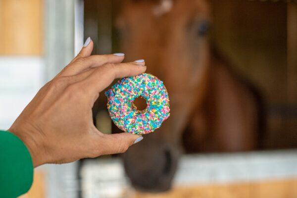 PONY BUENO DONUT TREATS - Image 3