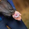 PONY BUENO DONUT TREATS - Image 4