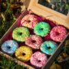 PONY BUENO DONUT TREATS
