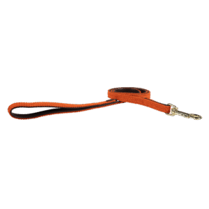 Plaited Nylon dog lead
