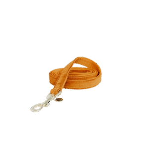 Dog lead velvet