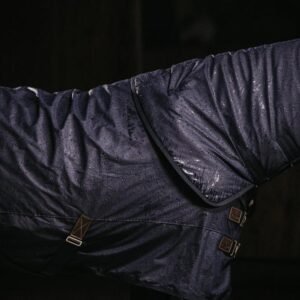 Turnout rug all weather Hurricane 150g