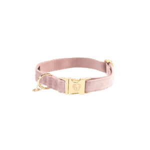 Dog Collar velvet