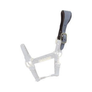 Leather Anatomic suede halter