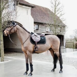 Fly veil Wellington basic velvet