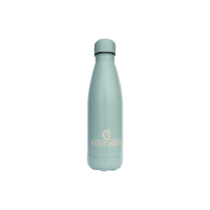 Water bottle mint 500 ml
