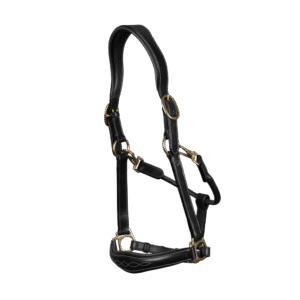 Leather Head Collar