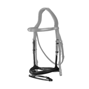 Flash Noseband