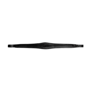 Anatomic Browband