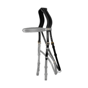 Hackamore Headpiece