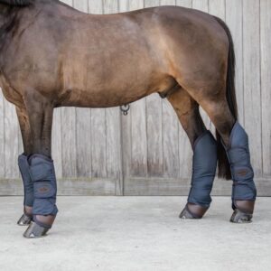 Travel Boots