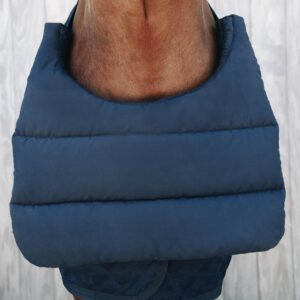 Horse BIB summer