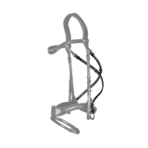 D Motion Straps