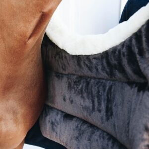 Horse BIB winter