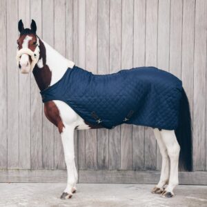 Walker rug