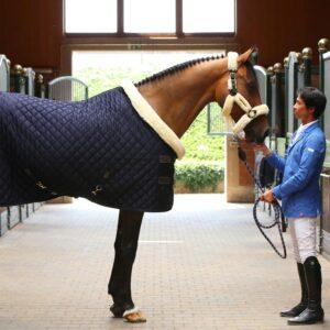 Show rug