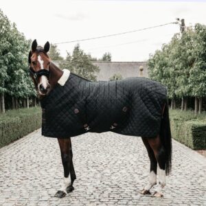 Stable rug