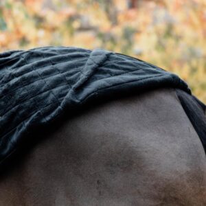 Stable rug