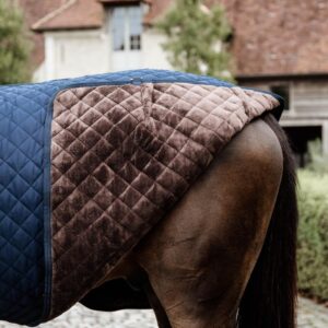 Stable rug