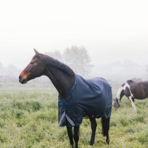 Turnout rug all weather waterproof comfort 400g
