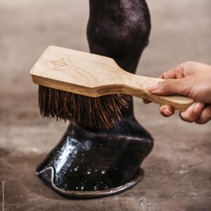 Hoof brush