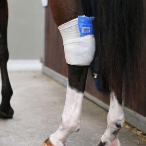 Tendon Grip sock