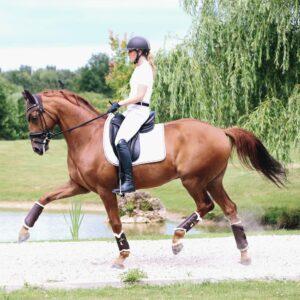Turnout boots leather Hind