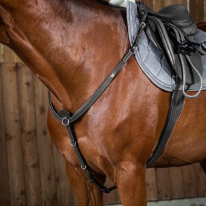 Breastplate
