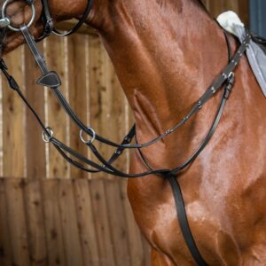 Running Martingale