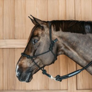 Dyon Training Halter