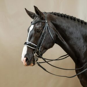 Patent Large Crank Noseband Padding Double Bridle