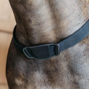 Elastic Breastplate
