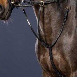 Running Martingale