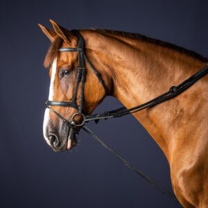 Leather/Nylon Draw Reins 5/8