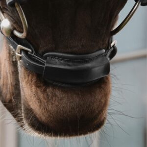Leather closure 1/2’’ NE coll
