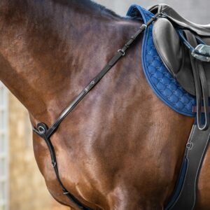 Breastplate