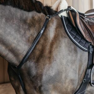 Plaited Bridge breastplate