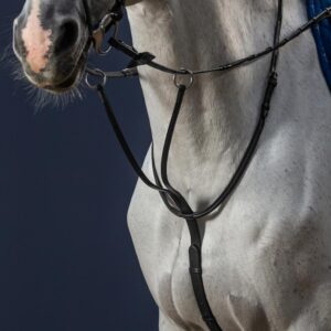 Running Martingale
